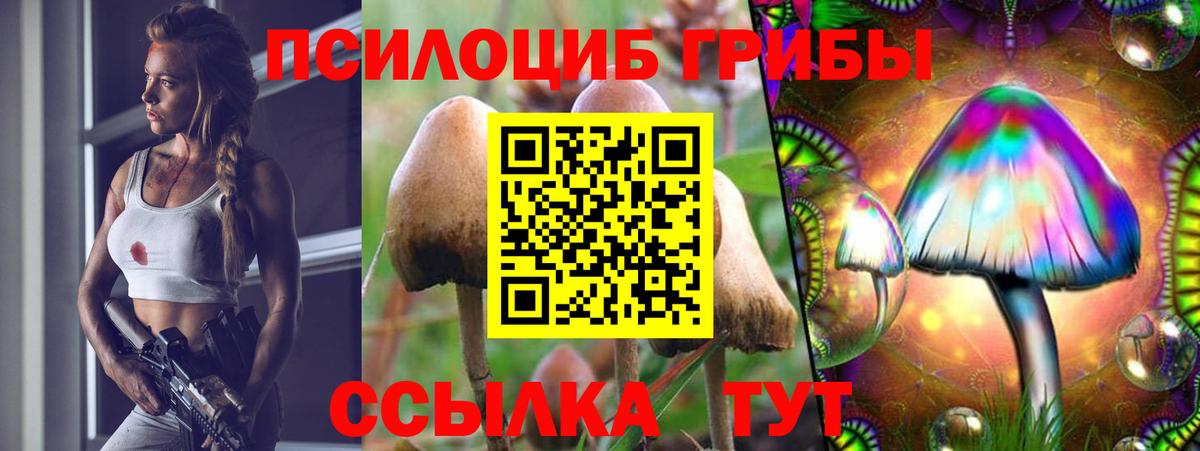 Псилоцибиновые грибы мухоморы  Вход с VPN  Кувандык 